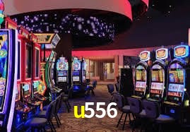 Security Systems u556